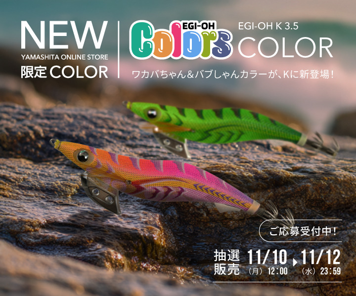 【shun0514さま専用】エギ王（15本），パタパタ（11本）ケース付き shun0514さま専用】エギ王（15本），パタパタ（11本）ケース付き